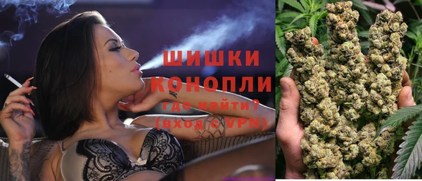 стаф Алагир