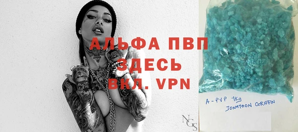стаф Алагир