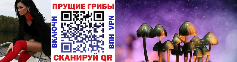 Галлюциногенные грибы Cubensis  купить наркотики сайты  Губкин 