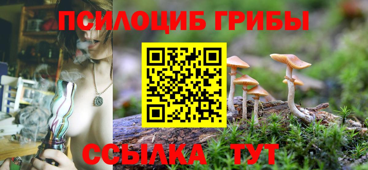 Губкин  Псилоцибиновые грибы ЛСД  Псилоцибиновые грибы Psilocybine cubensis  Вход с VPN 