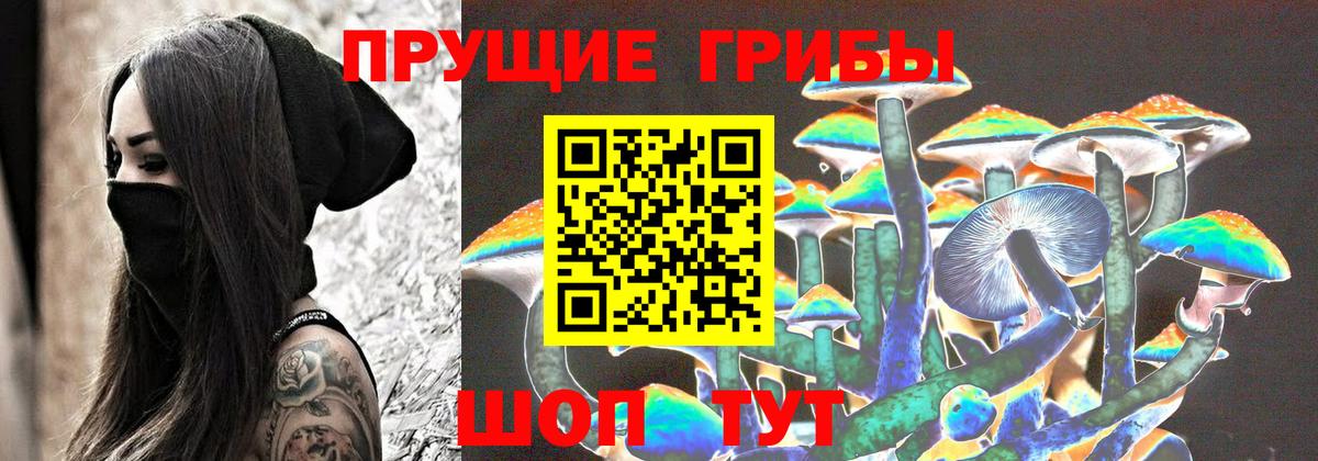 Псилоцибиновые грибы Magic Shrooms Губкин