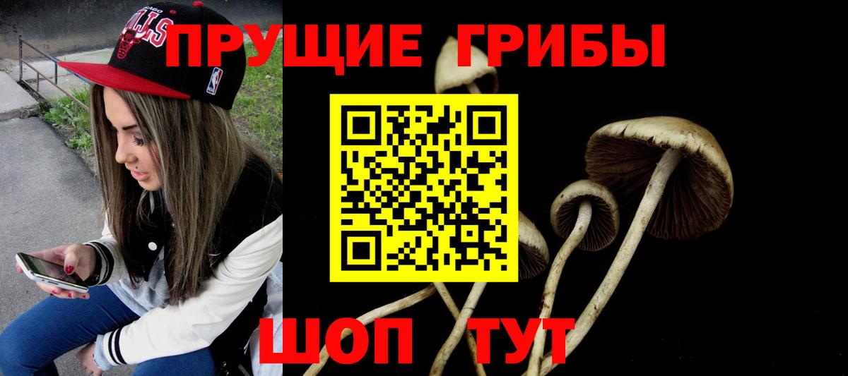 продажа наркотиков  Губкин  Псилоцибиновые грибы MAGIC MUSHROOMS 
