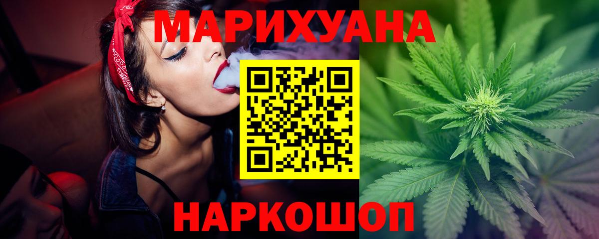 Марихуана сатива Губкин